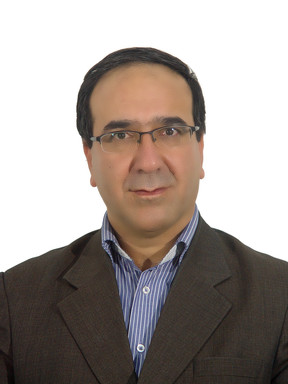 حمید زارع ابیانه